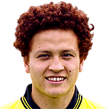 AMINI