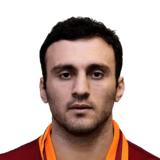 Torosidis