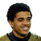 Taison