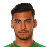 Gazzaniga