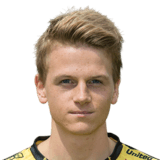 VAN TRICHT