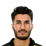 Şahin