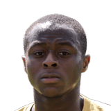 Odubajo