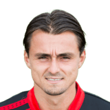 van Mieghem