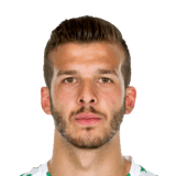 Tripić
