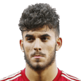 Dani Ceballos