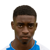 Vincent-Young