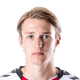 Hedegaard