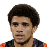 Taison