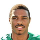 FERNANDES