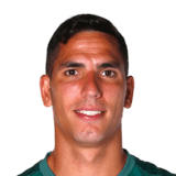 Joel Robles