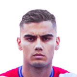PEREIRA