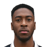FERGUSON