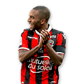 PEREIRA