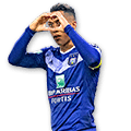 TIELEMANS