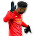STURRIDGE