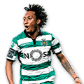 MARTINS