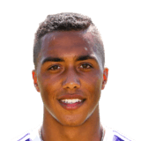 TIELEMANS