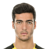 MERINO