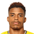 LEMINA