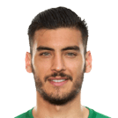 Gazzaniga