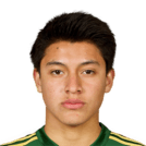 FARFAN