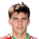 BJELICA