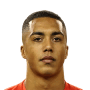 TIELEMANS