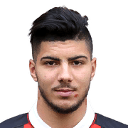 SRARFI