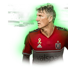 SCHWEINSTEIGER