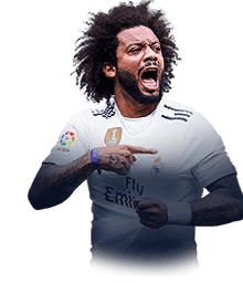 MARCELO