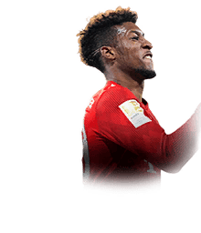 COMAN