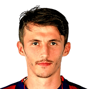 BUDIMIR