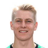 HEIDEMANN