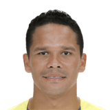 BACCA