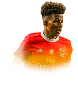FERNANDES