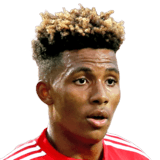FERNANDES