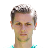Mesenhöler
