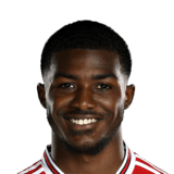 MAITLAND-NILES