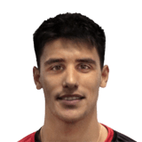 Leguizamón