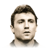 STOICHKOV