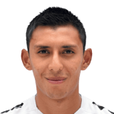 NAVARRO