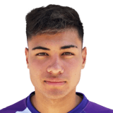 ALANÍZ