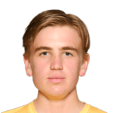 TJÆRANDSEN-SKAU