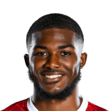 MAITLAND-NILES