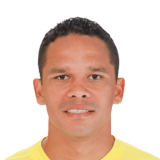 BACCA