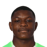 Fayulu