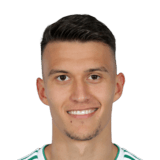 LJUBICIC