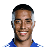 TIELEMANS