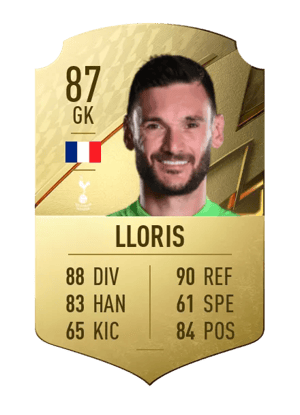 Hugo Lloris